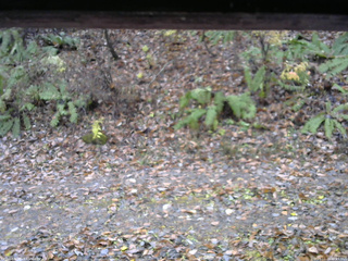 長野県菅平高原 ゆたか山荘 南側 2025/11/10 11:15