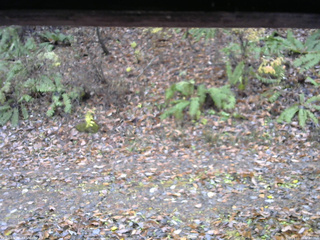 長野県菅平高原 ゆたか山荘 南側 2025/11/10 12:00