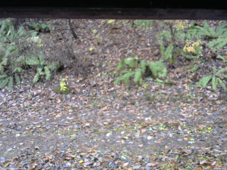 長野県菅平高原 ゆたか山荘 南側 2025/11/10 12:30