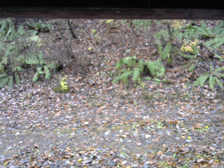 長野県菅平高原 ゆたか山荘 南側 2025/11/10 12:45