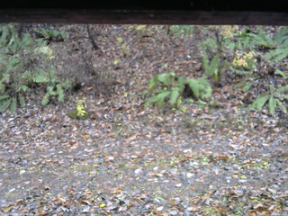 長野県菅平高原 ゆたか山荘 南側 2025/11/10 13:30