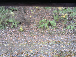 長野県菅平高原 ゆたか山荘 南側 2025/11/10 13:45