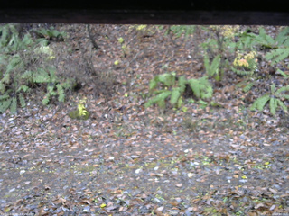 長野県菅平高原 ゆたか山荘 南側 2025/11/10 14:00