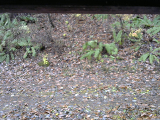 長野県菅平高原 ゆたか山荘 南側 2025/11/10 14:15