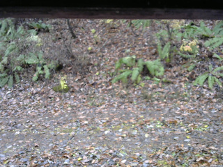 長野県菅平高原 ゆたか山荘 南側 2025/11/10 14:30