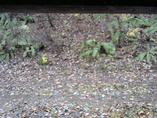 長野県菅平高原 ゆたか山荘 南側 2025/11/10 14:45