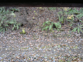 長野県菅平高原 ゆたか山荘 南側 2025/11/10 15:00