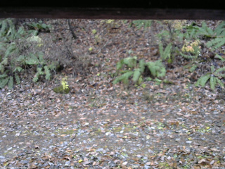 長野県菅平高原 ゆたか山荘 南側 2025/11/10 15:15
