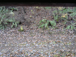 長野県菅平高原 ゆたか山荘 南側 2025/11/10 15:30