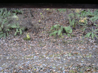 長野県菅平高原 ゆたか山荘 南側 2025/11/10 15:45