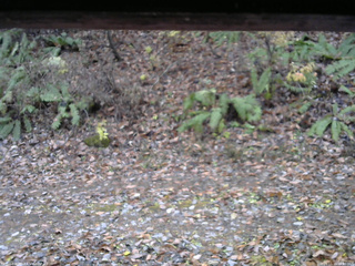 長野県菅平高原 ゆたか山荘 南側 2025/11/10 16:00
