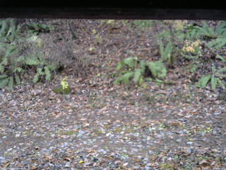 長野県菅平高原 ゆたか山荘 南側 2025/11/10 16:15