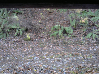 長野県菅平高原 ゆたか山荘 南側 2025/11/10 16:30