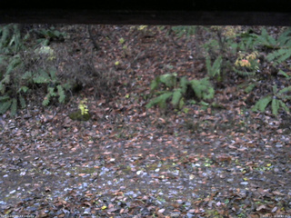 長野県菅平高原 ゆたか山荘 南側 2025/11/10 16:45