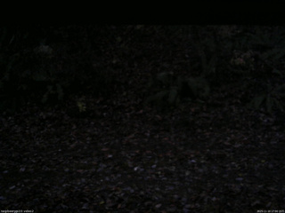 長野県菅平高原 ゆたか山荘 南側 2025/11/10 17:00