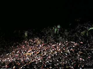 長野県菅平高原 ゆたか山荘 南側 2025/11/10 18:45