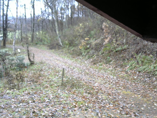 長野県菅平高原 ゆたか山荘 東側(坂下) 2025/11/10 12:30