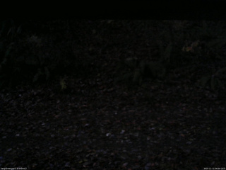 長野県菅平高原 ゆたか山荘 南側 2025/11/11 06:00