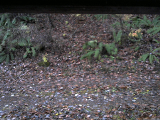 長野県菅平高原 ゆたか山荘 南側 2025/11/11 06:15