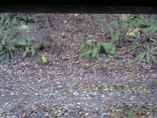 長野県菅平高原 ゆたか山荘 南側 2025/11/11 06:30