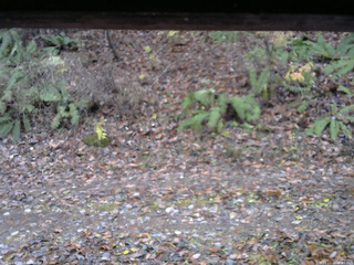 長野県菅平高原 ゆたか山荘 南側 2025/11/11 06:45