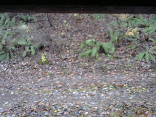 長野県菅平高原 ゆたか山荘 南側 2025/11/11 07:00