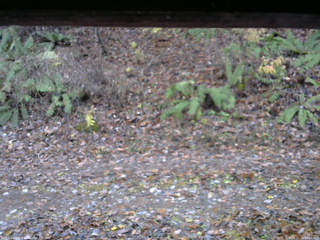 長野県菅平高原 ゆたか山荘 南側 2025/11/11 07:15