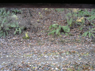 長野県菅平高原 ゆたか山荘 南側 2025/11/11 07:30