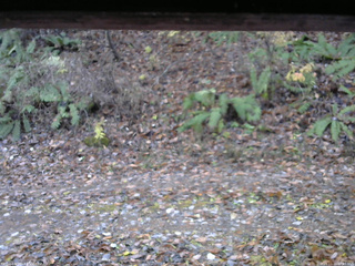 長野県菅平高原 ゆたか山荘 南側 2025/11/11 07:45