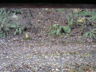 長野県菅平高原 ゆたか山荘 南側 2025/11/11 08:00