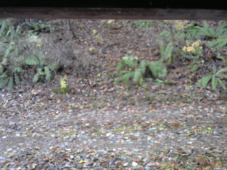 長野県菅平高原 ゆたか山荘 南側 2025/11/11 08:15