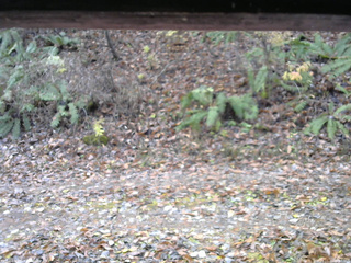 長野県菅平高原 ゆたか山荘 南側 2025/11/11 08:30