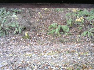 長野県菅平高原 ゆたか山荘 南側 2025/11/11 08:45