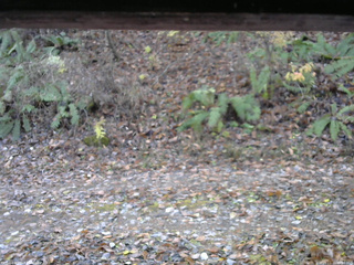 長野県菅平高原 ゆたか山荘 南側 2025/11/11 09:00