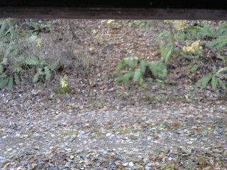長野県菅平高原 ゆたか山荘 南側 2025/11/11 09:15