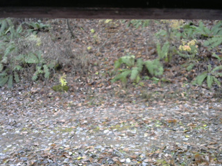 長野県菅平高原 ゆたか山荘 南側 2025/11/11 09:30