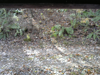 長野県菅平高原 ゆたか山荘 南側 2025/11/11 09:45