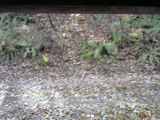 長野県菅平高原 ゆたか山荘 南側 2025/11/11 10:00