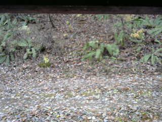 長野県菅平高原 ゆたか山荘 南側 2025/11/11 10:15