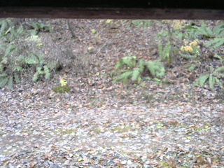 長野県菅平高原 ゆたか山荘 南側 2025/11/11 10:30