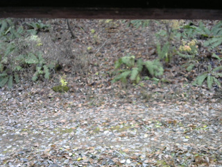 長野県菅平高原 ゆたか山荘 南側 2025/11/11 10:45