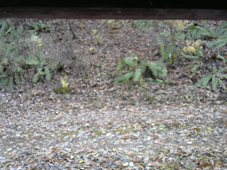 長野県菅平高原 ゆたか山荘 南側 2025/11/11 11:00