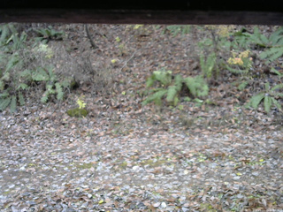 長野県菅平高原 ゆたか山荘 南側 2025/11/11 11:30