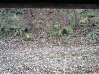 長野県菅平高原 ゆたか山荘 南側 2025/11/11 12:15