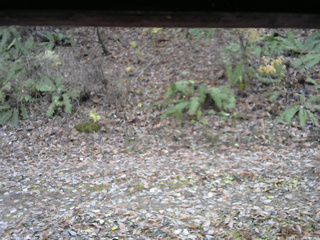 長野県菅平高原 ゆたか山荘 南側 2025/11/11 12:45