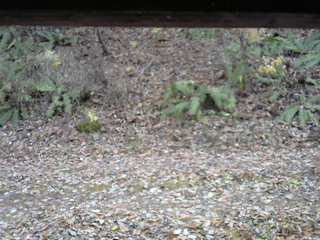 長野県菅平高原 ゆたか山荘 南側 2025/11/11 13:45