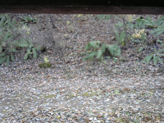 長野県菅平高原 ゆたか山荘 南側 2025/11/11 14:00