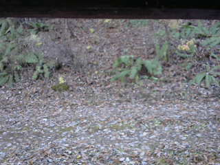 長野県菅平高原 ゆたか山荘 南側 2025/11/11 14:15