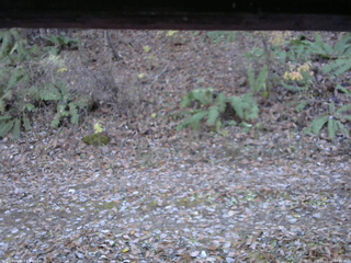 長野県菅平高原 ゆたか山荘 南側 2025/11/11 14:30