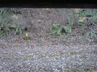 長野県菅平高原 ゆたか山荘 南側 2025/11/11 14:45
